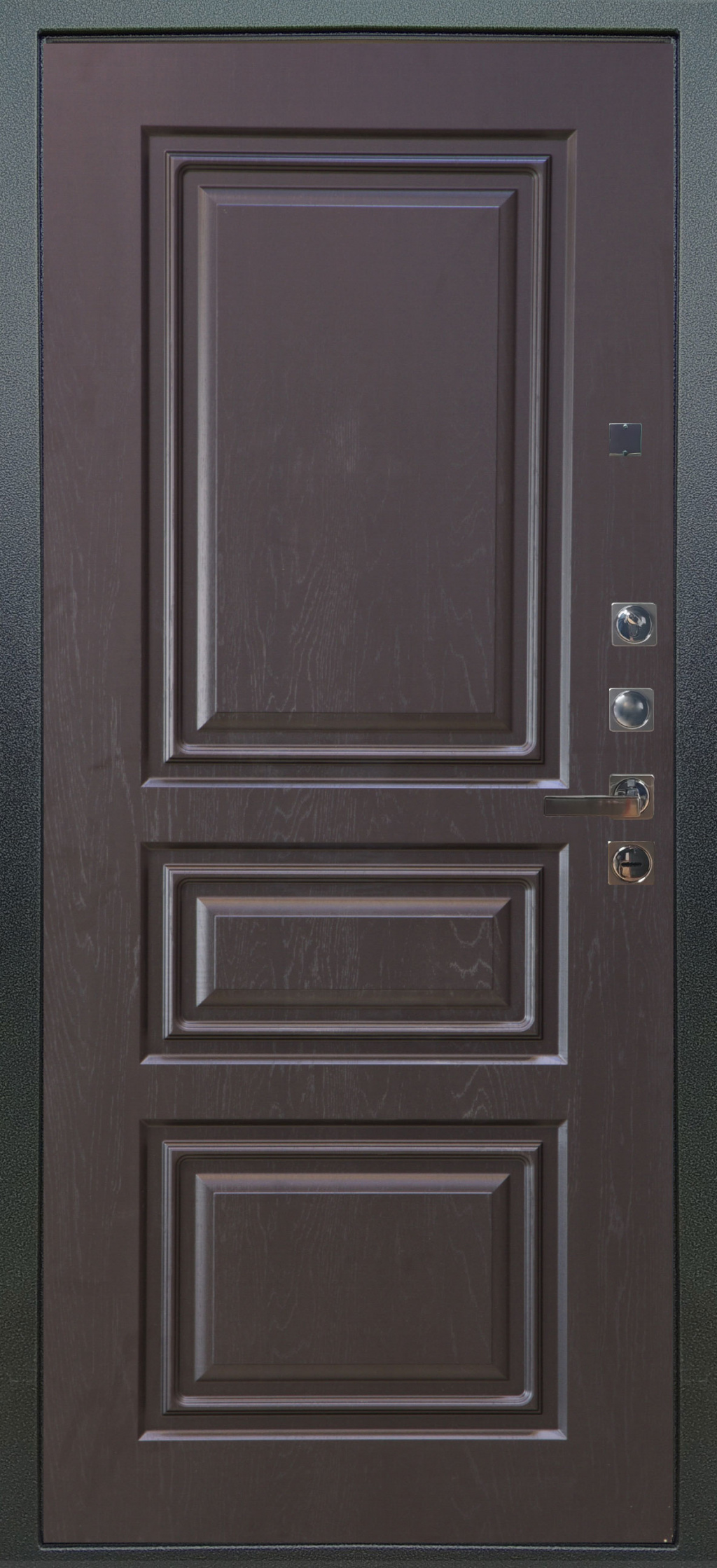 Аргус Входная дверь Люкс ПРО 3К 2П Тори Скиф, арт. 0008049 - фото №1